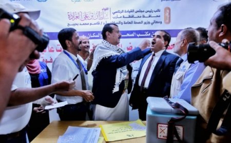 الصحة العالمية: 840 وفاة بالكوليرا في اليمن و240 ألف إصابة مشتبه فيها منذ مارس