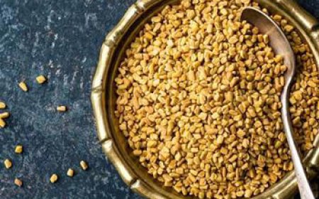 تعرف على فوائد تناول  سبع حبات من الحلبة على الريق..