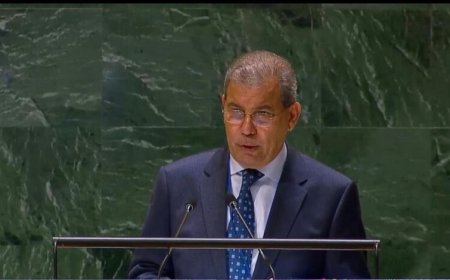 اليمن تدعو الأمم المتحدة لعقد مؤتمر للمانحين لدعم خطة الاستجابة الإنسانية