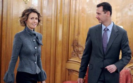 هل سهلت تركيا هروب الأسد ؟