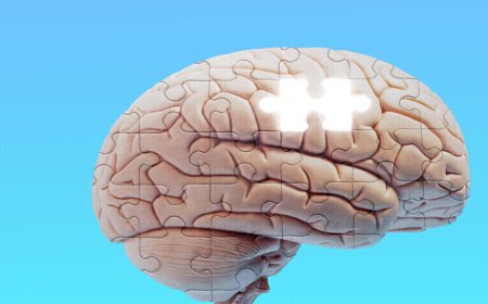 دراسة تشرح لماذا نحتفظ ببعض الذكريات وننسى أخرى؟