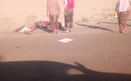 بالصور.. مقتل وإصابة عدد من أفراد ألوية العمالقة إثر انقلاب طقم على طريق المخا 