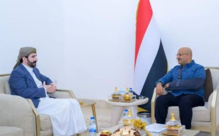النائب طارق صالح يستقبل محافظ صنعاء شريف