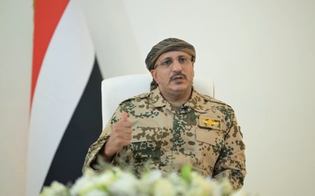 طارق صالح: خيار واحد هو ما تبقى لليمن وشعبه