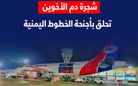 شجرة دم الأخوين تحلق بأجنحة الخطوط اليمنية