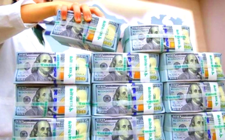  بعد ساعات من الإعلان عن وديعة.. صرف الريال اليمني مقابل الدولار والسعودي يصل إلى هذا السعر