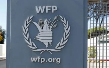 بشكل مؤقت.. تعليق الرحلات الجوية الإنسانية لبرنامج الأغذية العالمي  إلى مطار صنعاء