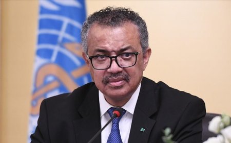 أول تصريح لمسؤول أممي بارز عقب نجاته من موت محقق في صنعاء