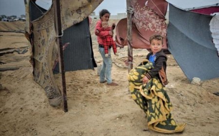 من ينقذ 17 أسرة يمنية عالقة في غزة؟