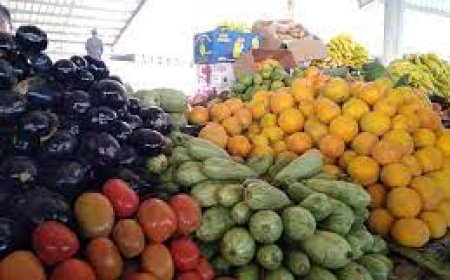 أسعار الخضروات والفواكه بعدن