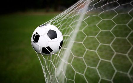 هدف ريوس... يدعو قبائل عنس بذمار للتدخل العاجل... فيديو