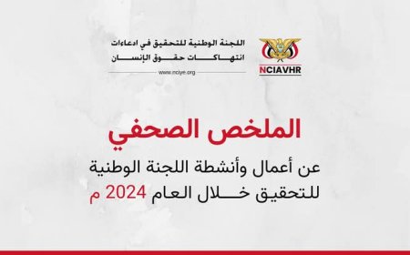 الملخص الصحفي عن أعمال اللجنة الوطنية للتحقيق للعام 2024م