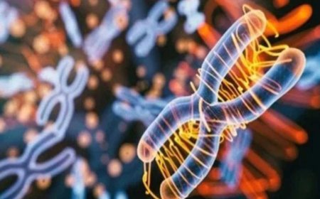 مرض فيكساس VEXAS.. اكتشاف أول حالة في مصر .. ماهو و ماهي اعراض المرض ؟