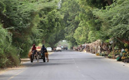 جنود من أبين يتهمون قيادات في المجلس الإنتقالي بممارسات العنصرية والإقصاء