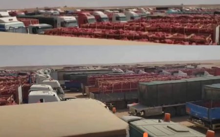 أزمة تصدير ... أطنان من البصل على الحدود اليمنية السعودية