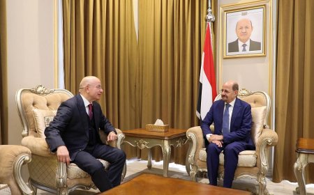 وزير الخارجية يبحث مع السفير التركي سبل تعزيز التعاون الثُنائي بين البلدين