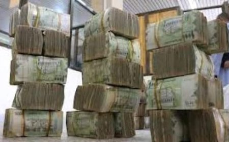 بدء صرف رواتب قطاعين لشهر يناير 2025