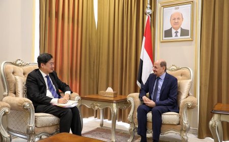وزير الخارجية يلتقي القائم بأعمال السفارة الصينية