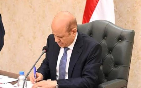 الرئيس العليمي يوجه بتوفير شحنة إسعافية لتشغيل كهرباء عدن