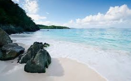 علماء يحذرون من ظاهرة تم رصدها في ثلث شواطئ العالم