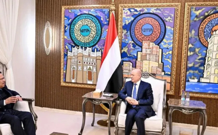 الرئيس العليمي يناقش مع ئيس مجلس الشورى إعادة تشكيل الهيئة الوطنية لمكافحة الفساد