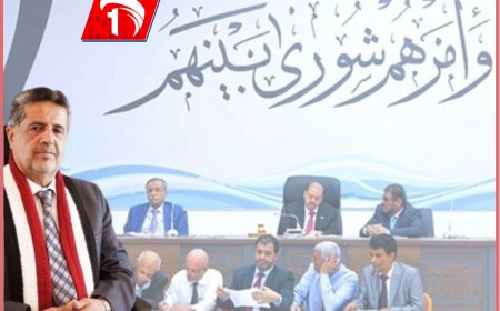 (تسلمنا تذاكر السفر).. البرلماني القاضي يكشف الجهة التي عطلت انعقاد مجلس النواب في أغسطس 2023