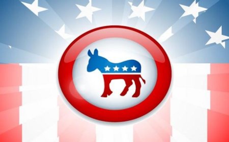 بحثا عن (قائد جديد).. الديمقراطيون ينفضون غبار خسارة هاريس