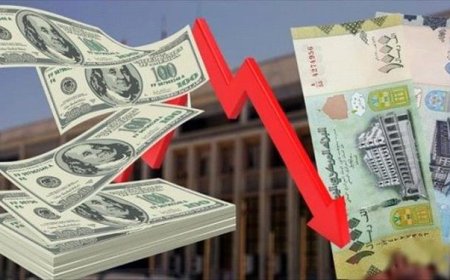 تدهور العملة المحلية يضع مستقبل البلاد في مأزق