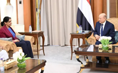 تحول دولي طارئ.. تصريحات السفيرة البريطانية حول تسليح الجيش تؤكد الحل العسكري 