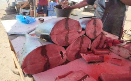 عدن تشهد ارتفاعا مبالغا في أسعار الثمد... والمواطنون يشتكون