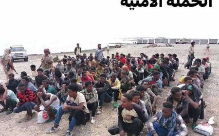 الحملة الأمنية بلحج ..تعلن ضبط 179مهاجراً افريقي