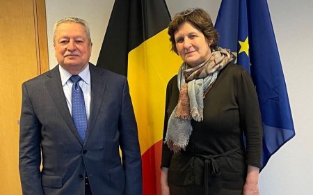 السفير بلادنا لدى بلجيكا يلتقي المدير العام للعلاقات الثنائية في وزارة الخارجية