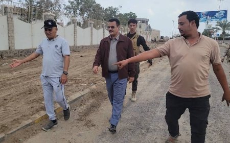 الممول من القطاع الخاص..مدير عام المنصورة يتفقد أعمال التحسين في عدد من شوارع منطقة الدرين