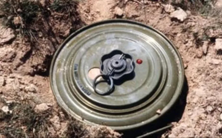 "مسام" ينفذ عملية جديدة لإتلاف أكثر من 1,200 مادة متفجرة في أبين 