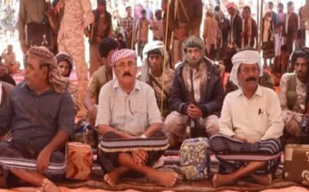 بن لسود ينجح في إنهاء قضية القشاعير بمديرية رضوم