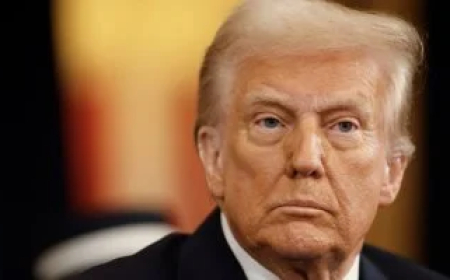 بدلاً من مصر و الاردن .. مخطط ترامب إلى تهجير الفلسطينيين لبلد اوروبي ..