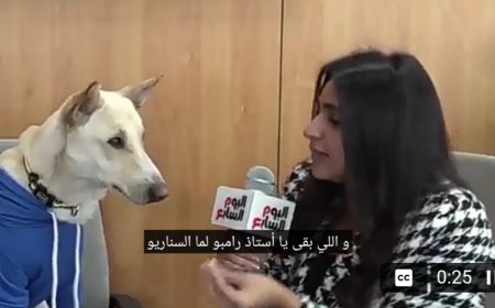 حقيقة وليست خيالا.. بالفيديو صحفية مصرية تحاور (كلب) وتوجه له الأسئلة على الهواء بعد مشاركته في فيلم عالمي