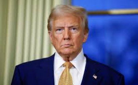 هيرب كينون : ترامب قتل تقليد أول 100 يوم.. فعل كل شئ في 100 ساعة