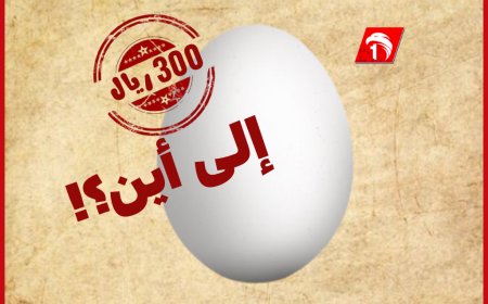 البيضة (الواحدة) بـ(300) ريال في عدن.. إلى أين؟!