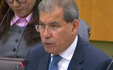 الحكومة اليمنية... تدعوا إلى موافق دولية جادة لوقف انتهاكات الحوثي بحق الأطفال الحوثي