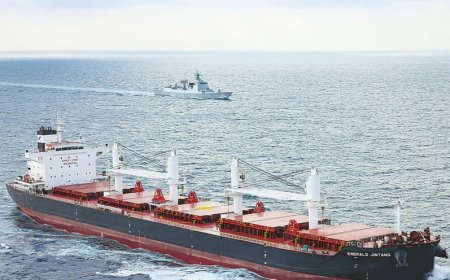 البحرية الصينية تحبط هجومًا محتملاً على سفينة تجارية في خليج عدن