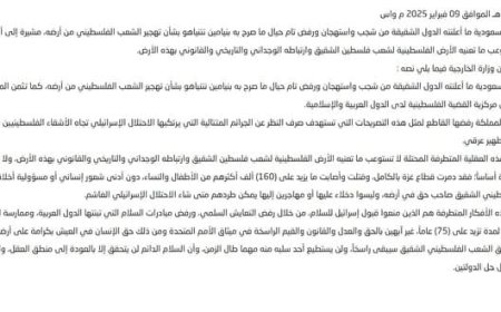 أبزر ما جاء في بيان المملكة العربية السعودية