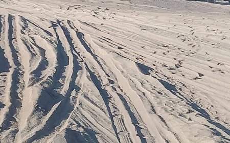 بينهم أطفال ونساء.. إنقاذ 47 مسافرًا من الموت عطشًا بعد تعطل حافلتهم في صحراء الرويك