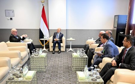 رئيس مجلس القيادة يستقبل مساعد وزير الخارجية الاميركي