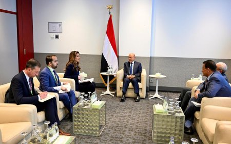 رئيس مجلس القيادة يستقبل نائبة المبعوث الاميركي للشرق الاوسط