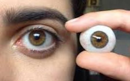 غداً.. افتتاح معمل لتصنيع العيون الصناعية لأول مرة في عدن