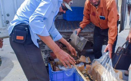 اتلاف كميات من الجمبري بمديرية صيرة في عدن