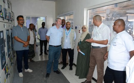 وفد من اليونيسف يطلع على احتياجات حقل بئر أحمد للمياه بعدن