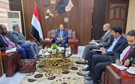 نائب وزير الصناعة يبحث مع السفير الهندي تعزيز العلاقات الاقتصادية والتجارية