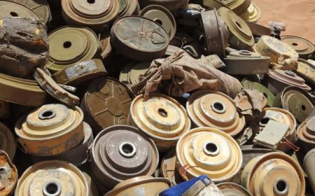مسؤول حكومي..مقتل وإصابة أكثر من 9500 يمني جراء الألغام التي زرعتها المليشيا الحوثية